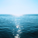 Ocean Vibes