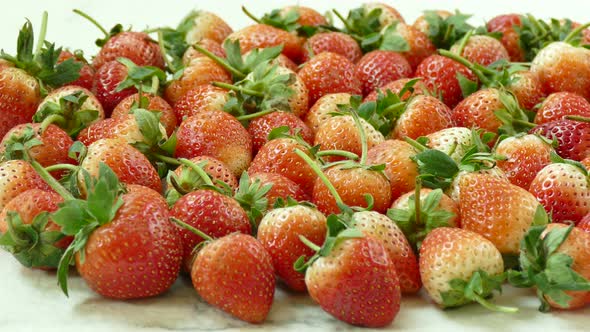 Red Strawberry fruit