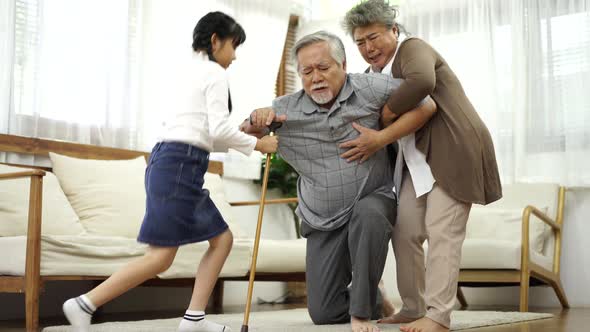 Asian Elderly senior sick man falling on floor after start walking with walker for therapy in house.