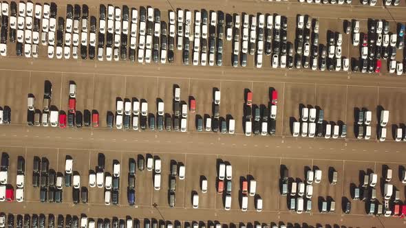 Many new and occasion Cars on a huge parking lot waiting for shipment, Aerial