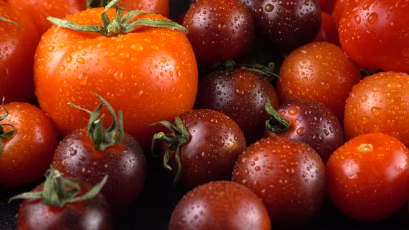 Cherry tomatoes on a black background in water drops.