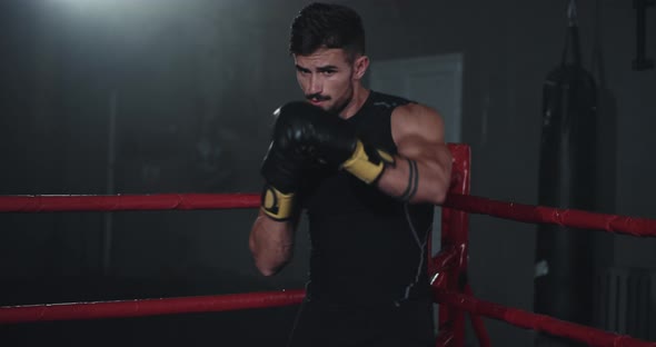 Charismatic Boxing Man in the Front of the Camera