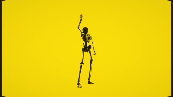 Animated Skeleton : Logo