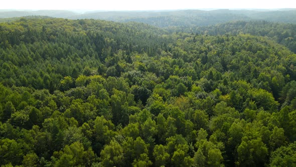 Amazing view with large green forest in hilly area. Lowering aerial panorama