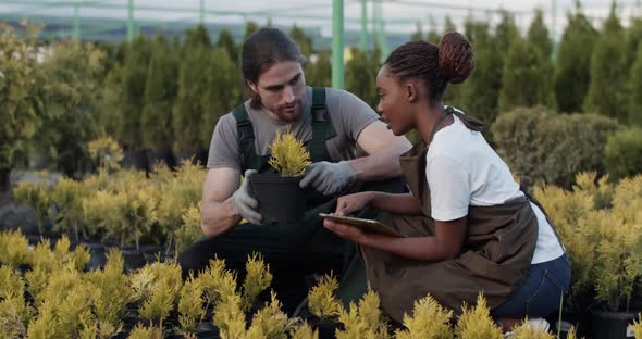 Diverse Farmers Discussing Quality of Plant