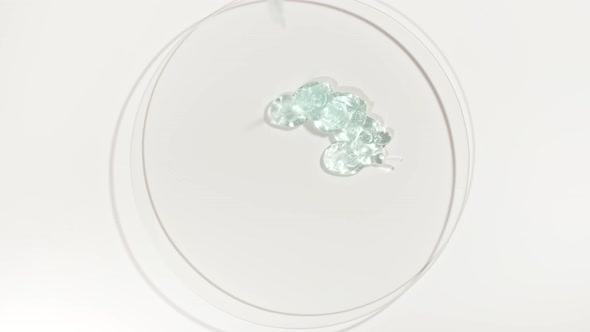 Transparent Cosmetic Gel Fluid Dripping Into the Glass Bowl of Petri alt