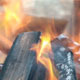 Barbecue Fire - VideoHive Item for Sale
