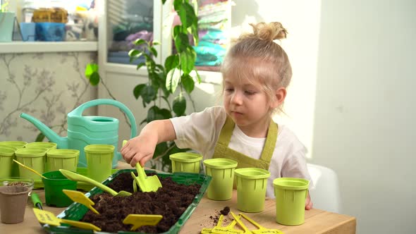 a Little Blonde Girl is Engaged in Planting Seeds for Seedlings Pouring Earth Into Pots for Growing