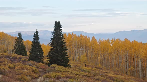 Colorful Autumn landscape in Utah during Fall in the mountains