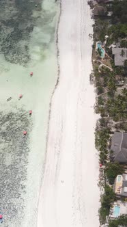 Vertical Video of the Beach on Zanzibar Island Tanzania