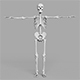 Human Skeleton Low-poly - 3DOcean Item for Sale