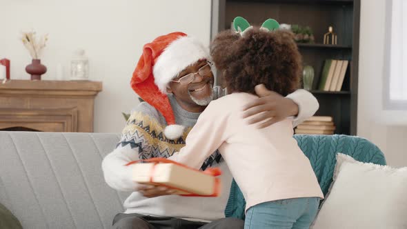 Cute Little African American Girl Greeting Her Grandfather Merry Christmas at Home Giving Him Gift