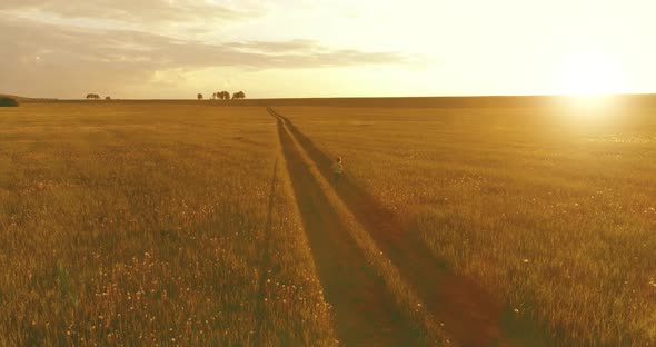 Sporty Child Runs Through a Green Wheat Field