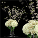 White Bouquet - 3DOcean Item for Sale