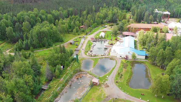 4K Drone Video of Geothermal Pool at Chena Hot Springs Resort near Fairbanks, Alaska