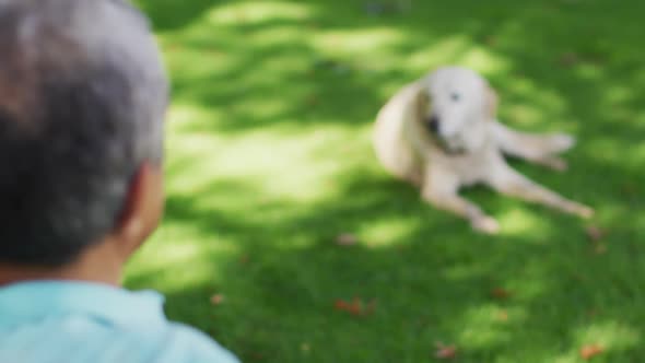 Video of back view of biracial senior man sitting on bench in garden with dog