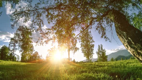 Mountain Meadow Time-lapse at the Summer or Autumn Time. Wild Nature and Rural Field. Motorised