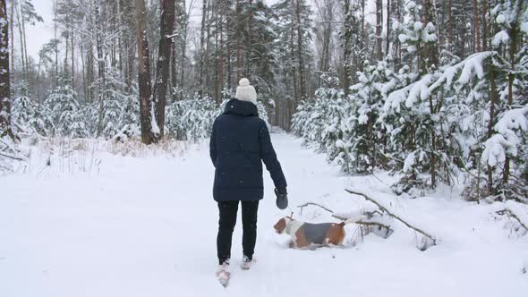 Young Girl with His Beagle Dog are Walks Through a Snowy Winter Forest