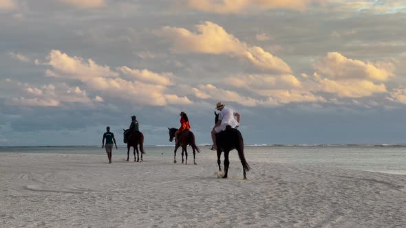 Horseback Riding on a Tropical Beach Along the Coast of Ocean