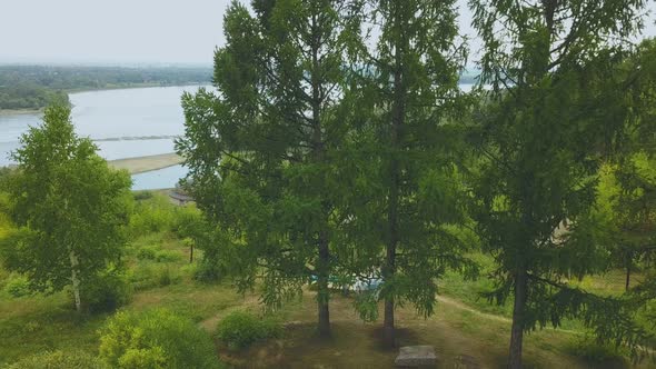 Groom and Bride Near Fir Trees Against River Bird Eye View