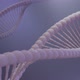 DNA Strand - VideoHive Item for Sale