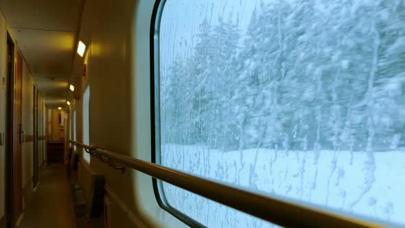 Train Ride through a Winter Forest