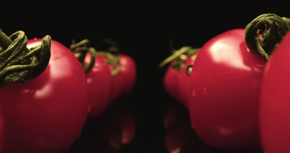 Tomato fly by macro 