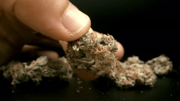 A Hand Holding a Marijuana Bud Against Black Background