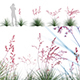 Hesperaloe Parviflora - Red Yucca - 3DOcean Item for Sale