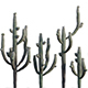 Carnegiea Gigantea - Saguaro 02 - 3DOcean Item for Sale