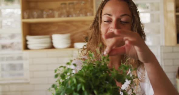Smiling caucasian woman touching plant in cottage kitchen