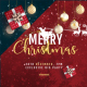 Christmas instagram stories and post - VideoHive Item for Sale