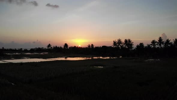 Sun Setting in the Rice Fields - Bali, Indonesia