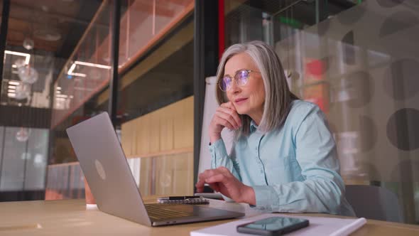 Senior Businesswoman Sitting at Working Place and Looking at Camera