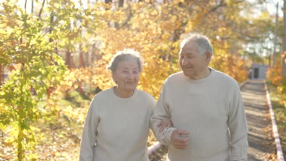 an Elderly Couple Walking Down the Walkway and Smiling To Each Other in a Park in a Beautiful Autumn