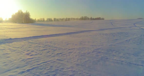 Aerial Drone View of Cold Winter Landscape with Arctic Field Trees Covered with Frost Snow and