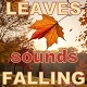 Rustle Falling Leaves Autumn