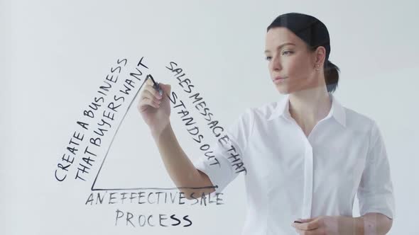 Businesswoman Drawing Business Plan