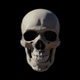 Bone Skull Rotate 360 - VideoHive Item for Sale