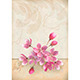 Realistic Vector Cherry Blossom Flower Arrangement - GraphicRiver Item for Sale
