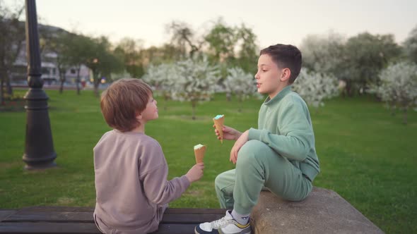 Two Boys Eating Ice Cream in Public Park in Spring