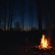 Campfire and Crickets Ambience