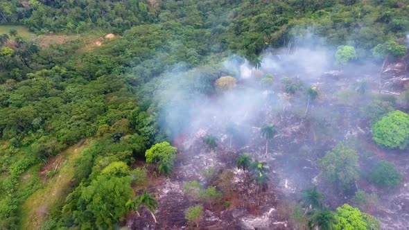 Aerial drone view over a smoking, jungle forest fire, wildfire, in South America