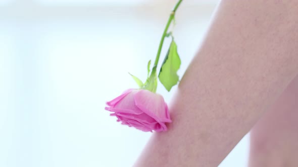 Unrecognizable Woman Runs a Fresh Rose Over the Skin