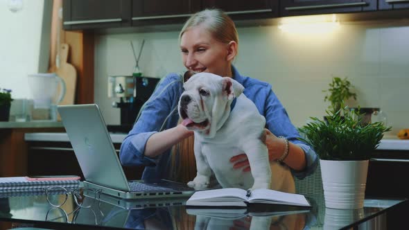 Blonde Woman Making Online Video Call To Her Relatives To Show a Small Bulldog