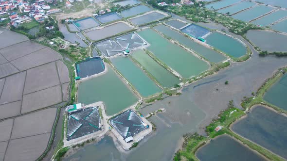 Drone footage of Shrimp farms in Vietnam. Tuy Hòa city aerial shot.