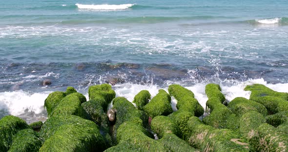 Laomei Green Reef 