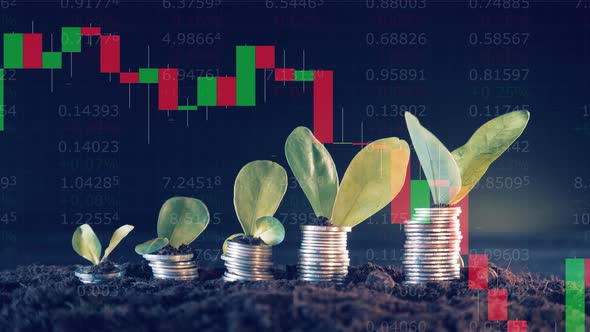 Live Stock Charts and Coins with Plants on Them