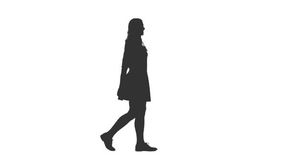 Silhouette of Young Attractive Woman Walks in Mini Skirt