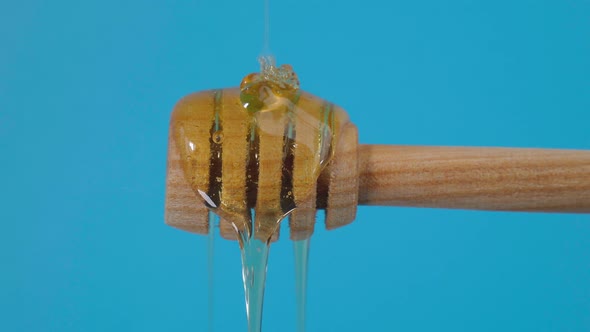 Honey Drips Closeup Macro From a Wooden Ladle